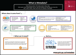 Infographic: What is Metadata?