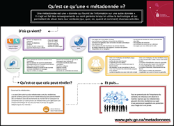 Icône de l'Infographie : Qu’est ce qu’une « métadonnée »?