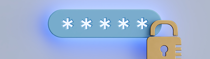 Hidden password and lock