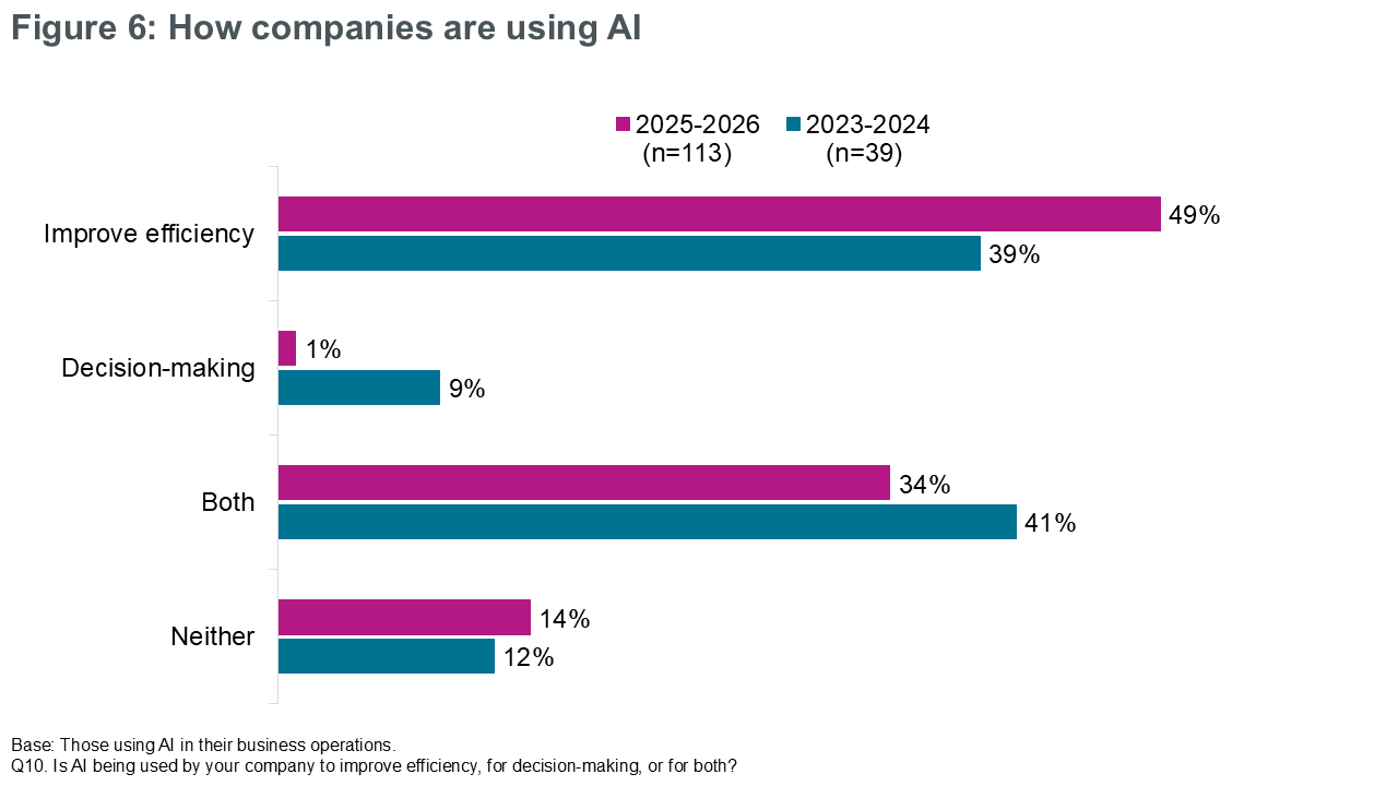 Figure 6: How companies are using AI
