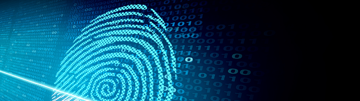 Digital fingerprint
